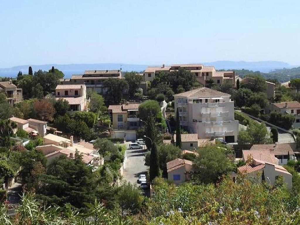 183 D24 BORMES LES MIMOSAS 2_000033.jpg
